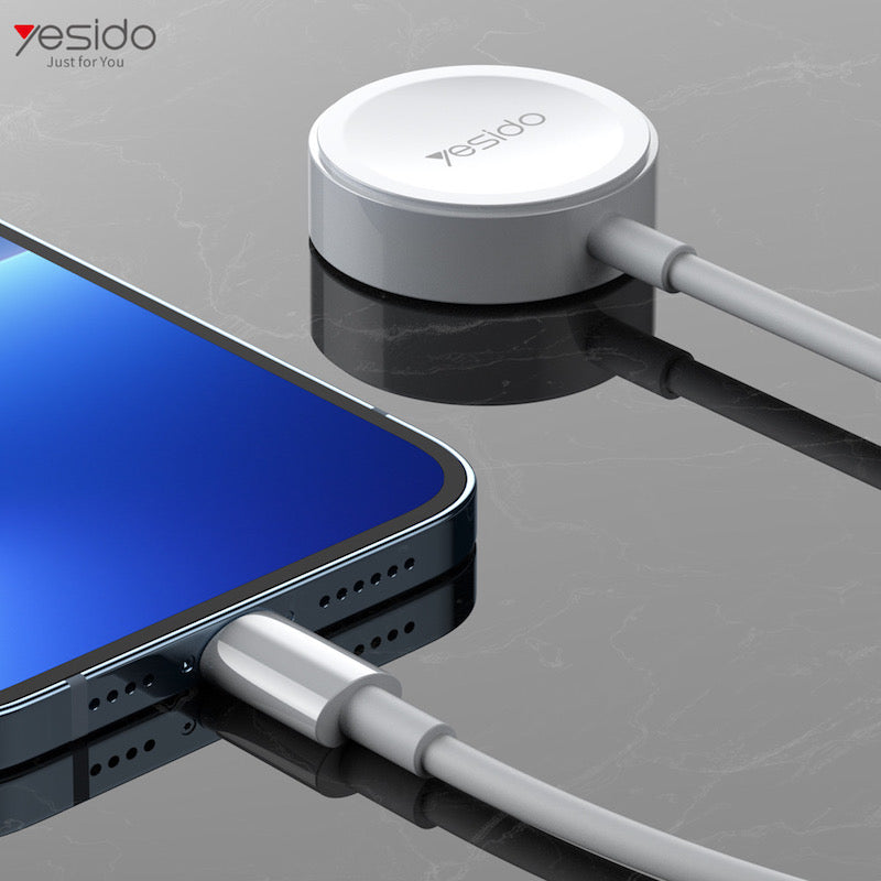 YESIDO CA113 2in1 Magnetische Typ C und Lightning 1.2 Meter Ladekabel für Apple Watch